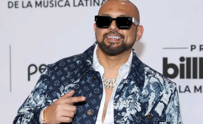 Sean Paul Net Worth: Early Life, Career, Wife, And More Info